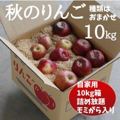 秋のりんご 10kg