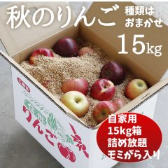 秋のりんご 15kg