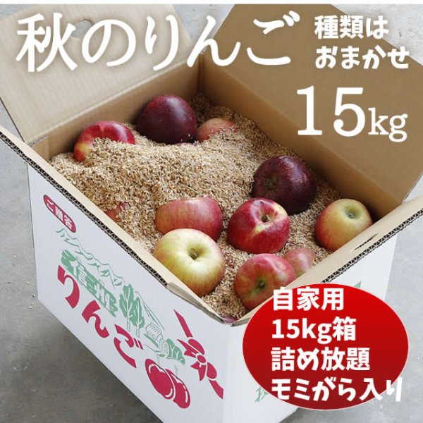 画像1: 秋のりんご 15kg (1)