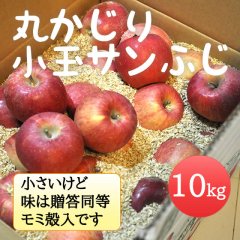 丸かじり小玉サンふじ 10kg