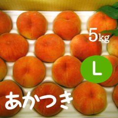 あかつき（桃）5kg: L