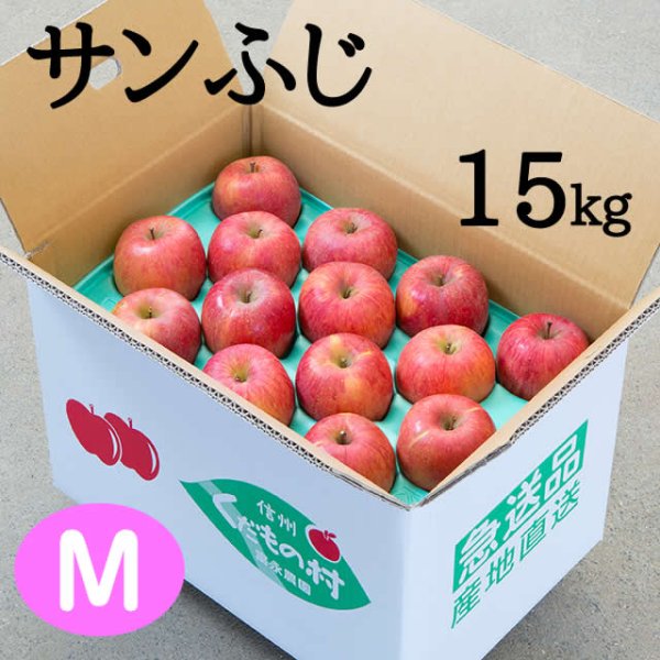 画像1: 贈答用サンふじ 15kg: Ｍ (1)