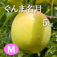 ぐんま名月5kg: M