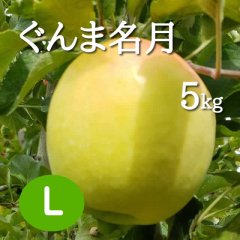 ぐんま名月5kg: 大玉