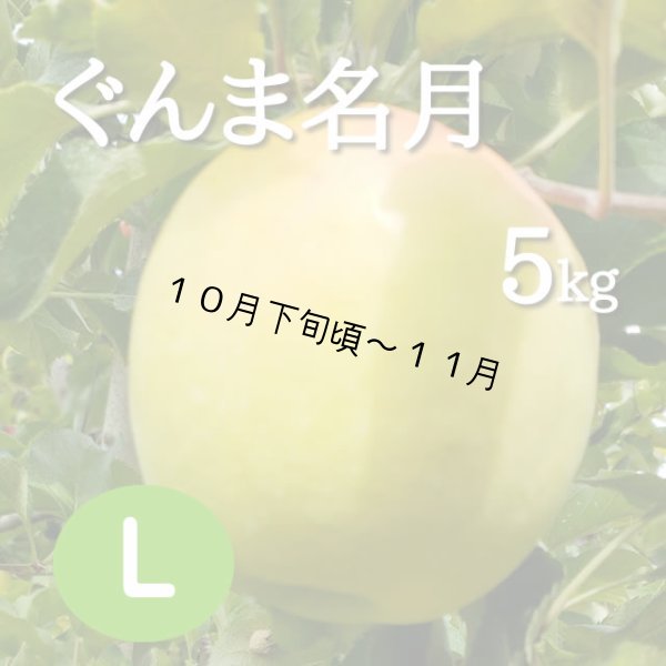 画像1: ぐんま名月5kg: L (1)