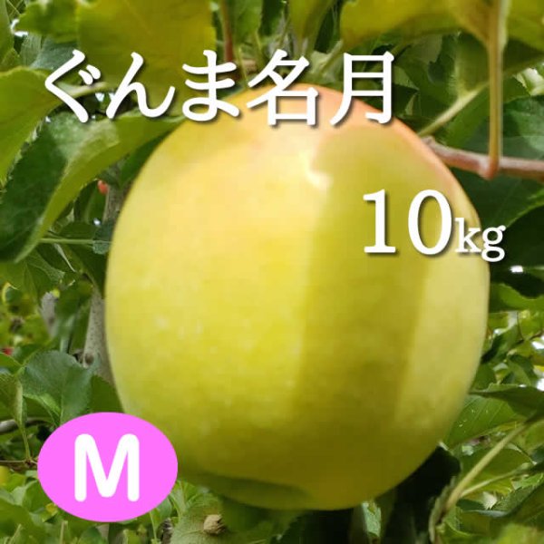 画像1: ぐんま名月10kg: M (1)