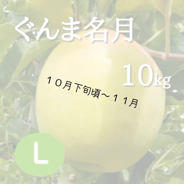 画像1: ぐんま名月10kg: L (1)